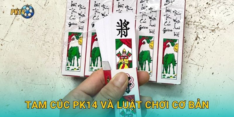 Tam Cúc – Vẻ đẹp cổ điển trong mỗi ván bài tại Pk14 2 Tam Cúc Pk14 và luật chơi cơ bản