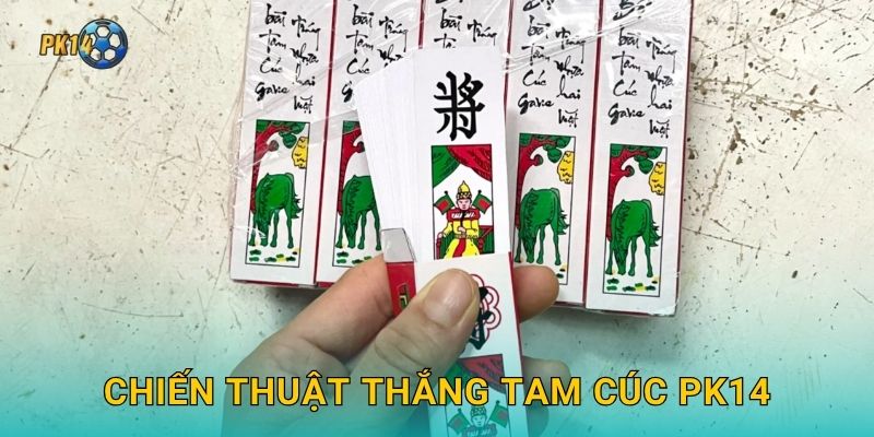 Tam Cúc – Vẻ đẹp cổ điển trong mỗi ván bài tại Pk14 3 Chiến thuật thắng Tam Cúc Pk14